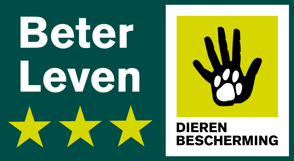 4_Beterleven